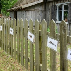 VHRS_-022_0725-88_WEB