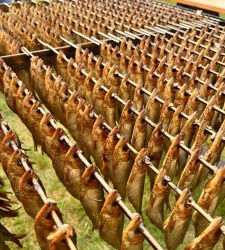 WhatsApp-Image-2025-07-06-at-14.59.55