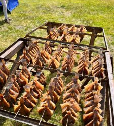 WhatsApp-Image-2025-07-06-at-14.59.56