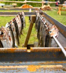 WhatsApp-Image-2025-07-06-at-14.59.58