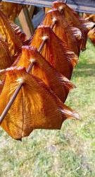 WhatsApp-Image-2025-07-06-at-18.53.55