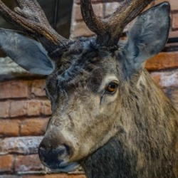 VHRS_021_0426-10_WEB