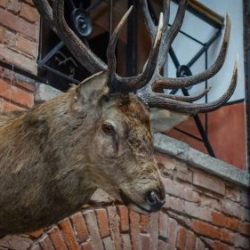 VHRS_021_0426-11_WEB