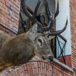 VHRS_021_0426-15_WEB