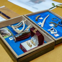 VHRS_021_0426-16_WEB