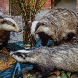 VHRS_021_0426-17_WEB