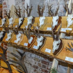 VHRS_021_0426-38_WEB