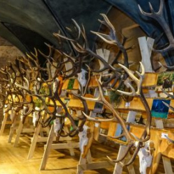 VHRS_021_0426-41_WEB