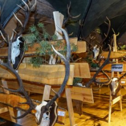 VHRS_021_0426-42_WEB