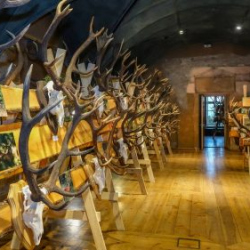 VHRS_021_0426-43_WEB