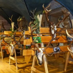 VHRS_021_0426-44_WEB