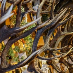 VHRS_021_0426-45_WEB