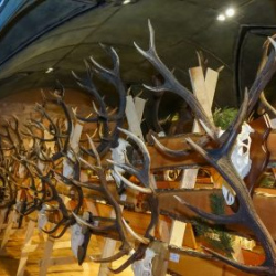 VHRS_021_0426-47_WEB