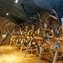 VHRS_021_0426-48_WEB