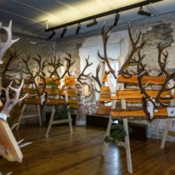 VHRS_021_0426-49_WEB