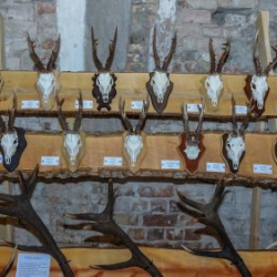 VHRS_021_0426-50_WEB