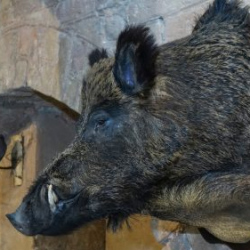 VHRS_021_0426-51_WEB