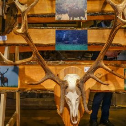 VHRS_021_0426-55_WEB