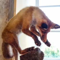 VHRS_021_0426-63_WEB