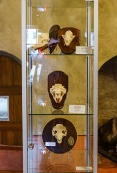 VHRS_021_0426-64_WEB