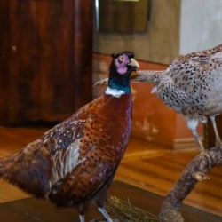 VHRS_021_0426-65_WEB