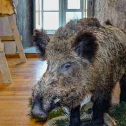 VHRS_021_0426-70_WEB