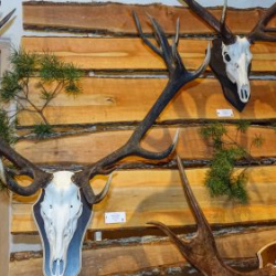 VHRS_021_0426-72_WEB