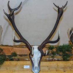 VHRS_021_0426-74_WEB