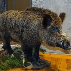 VHRS_021_0426-75_WEB