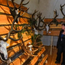 VHRS_021_0426-77_WEB