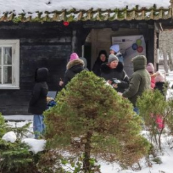 VHRS_-011_0226-13_WEB