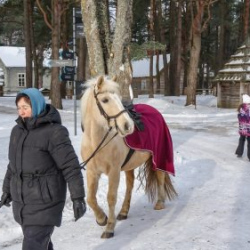 VHRS_-011_0226-15_WEB