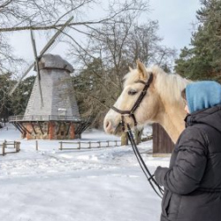 VHRS_-011_0226-2_WEB