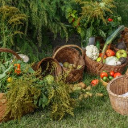 VHRS_-012_1025-10_WEB