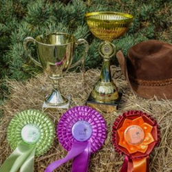 VHRS_-012_1025-11_WEB