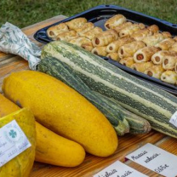 VHRS_-012_1025-16_WEB