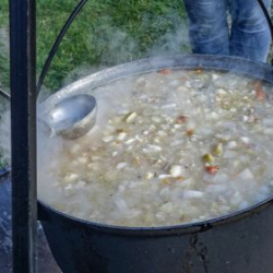 VHRS_-012_1025-25_WEB