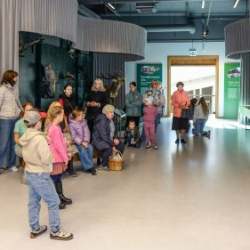 VHRS_-012_1025-38_WEB