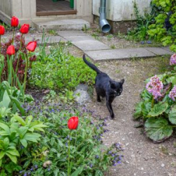 VHRS_-004_0625-11_WEB