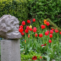 VHRS_-004_0625-4_WEB