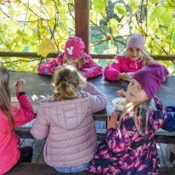 VHRS_-020_1025-31_WEB