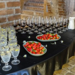 VHRS_-011_0525-24_WEB