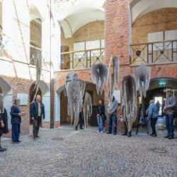 VHRS_-011_0525-8_WEB