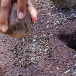 VHRS_-008_0825-20_WEB