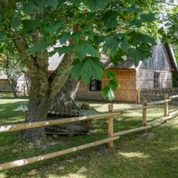 VHRS_-008_0825-33_WEB