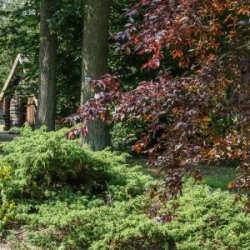 VHRS_-008_0825-5_WEB