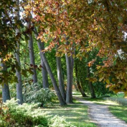 VHRS_-008_0825-6_WEB