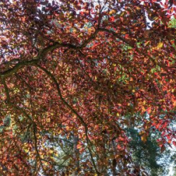 VHRS_-008_0825-7_WEB