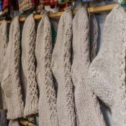 VHRS_017_0425-19_WEB