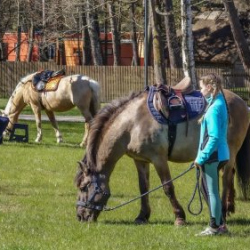 VHRS_-015_0526-19_WEB